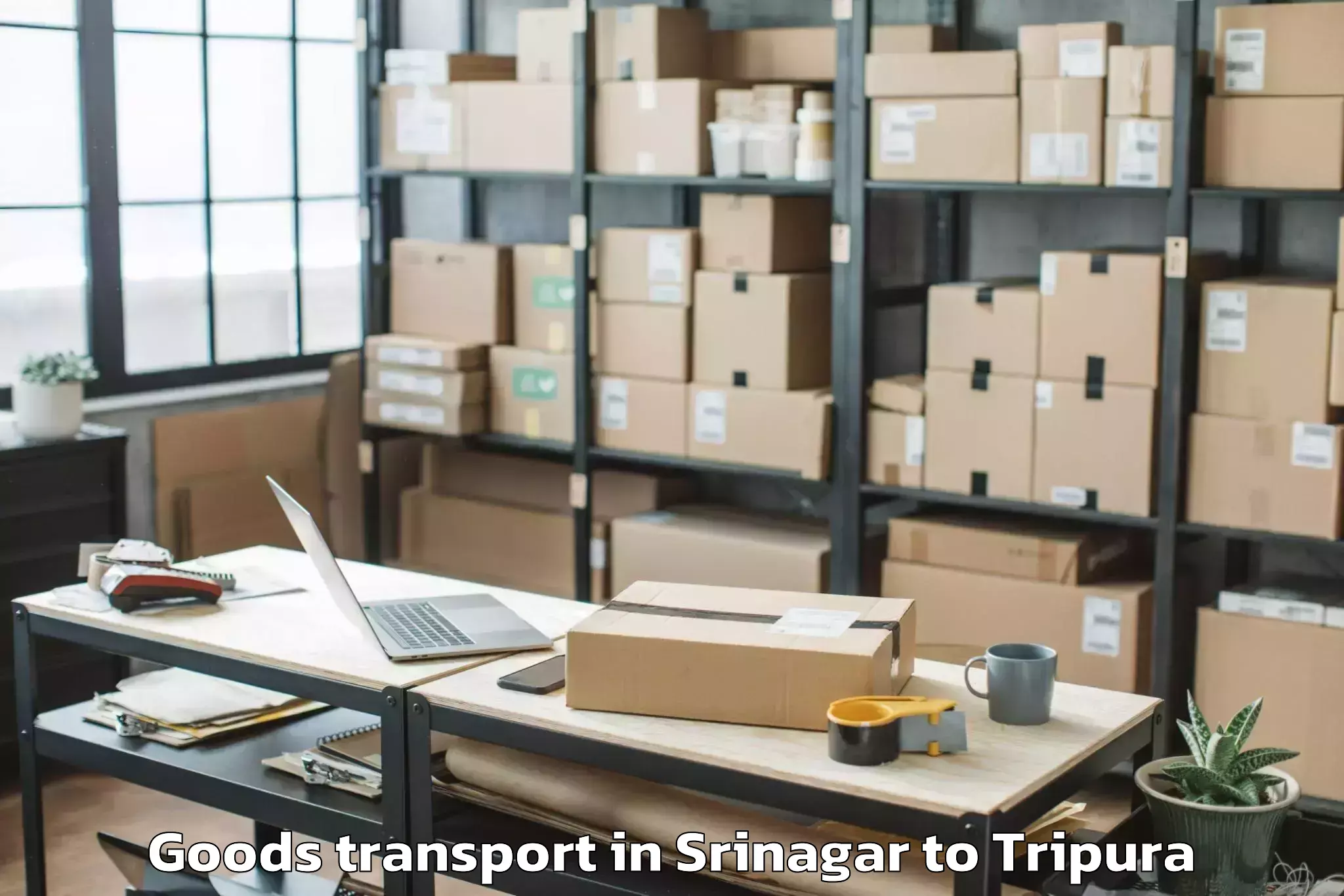 Get Srinagar to Tripura University Agartala Goods Transport